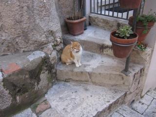 IMG_6463.JPG