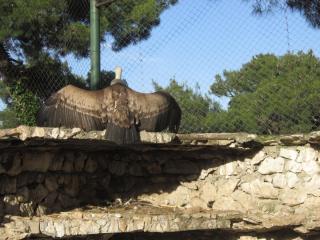 IMG_6218.JPG