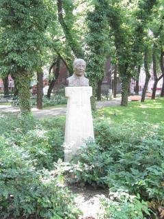 IMG_7536.JPG