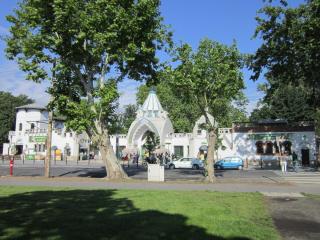 IMG_5524.JPG