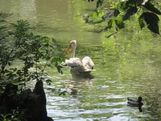 IMG_5620.JPG