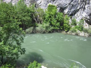 IMG_6956.JPG