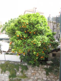 IMG_6407.JPG