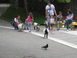 IMG_7149.JPG