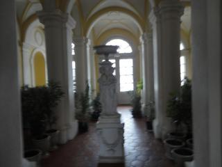 DSC00939.JPG