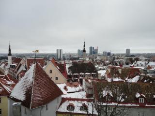 DSC01021.JPG