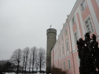 DSC01005.JPG