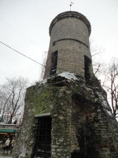 DSC01076.JPG