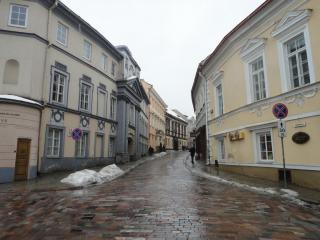 DSC00809.JPG