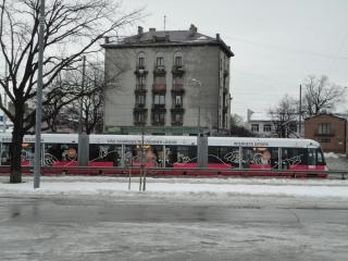 DSC00835.JPG