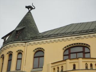 DSC00878.JPG