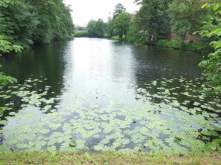 DSCN4385.JPG