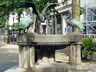 DSCN2985.jpg