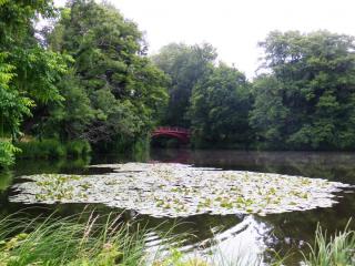 DSCN4482.JPG