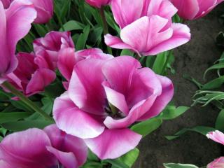 DSCN0842.jpg