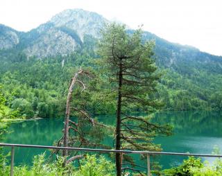 DSCN3460.jpg