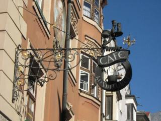 IMG_4281.JPG