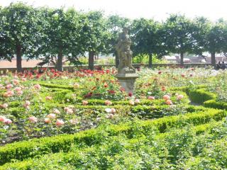 DSCN3704.JPG