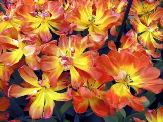 DSCN0829.jpg