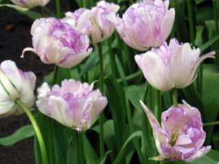 DSCN0808.jpg