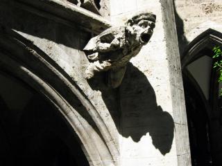 IMG_3221.jpg