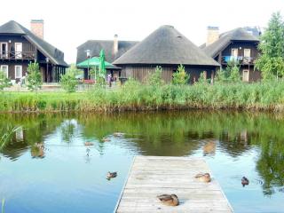 DSCN5413.jpg