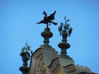 DSCN3806.JPG