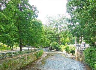 DSCN2961.JPG