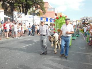 DSCN6056.JPG