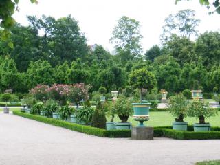 DSCN4485.JPG