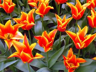 DSCN0837.jpg
