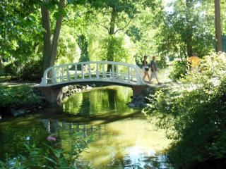 DSCN5263.jpg