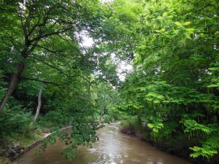 DSCN3910.JPG