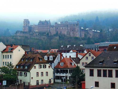 DSCN6228.JPG