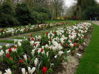 DSCN0734.jpg