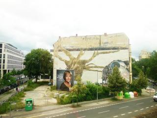 DSCN4454.JPG