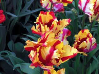 DSCN0835.jpg