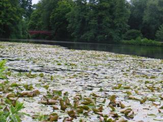 DSCN4477.JPG
