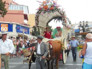 DSCN6081.JPG