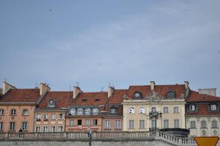 DSC_0081.JPG