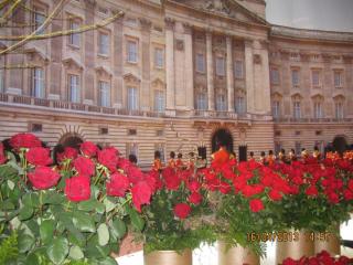 IMG_3095.JPG