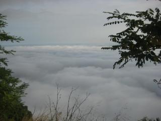 IMG_0823.JPG