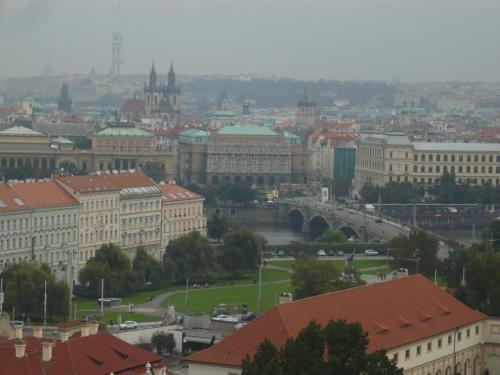 P1100680.JPG