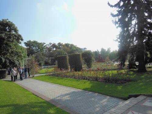 DSCN0488.JPG