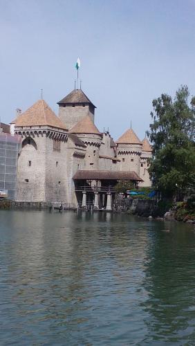 IMG_20150511_114557.jpg