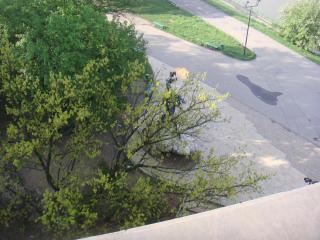 DSC09565-1.JPG