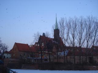 DSC07054.JPG
