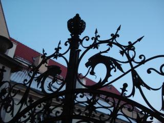 DSC07058.JPG