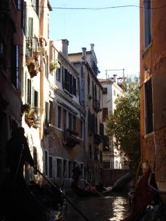 DSC08202.JPG