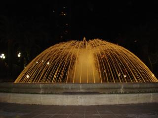 DSC08085.JPG